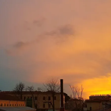 Apartamento L&g's Roof Terrace Pisa